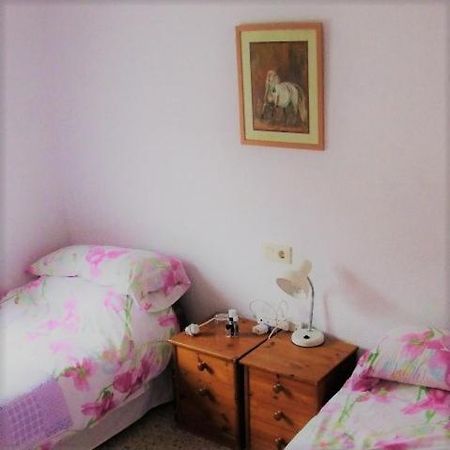 Recovery Mountain 2 Separate Beds In Room B&B Alicante Dış mekan fotoğraf